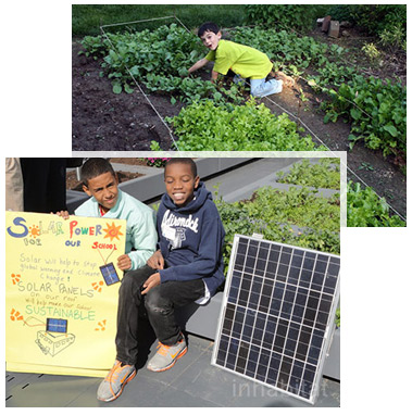 Urban Farming & Solar Power