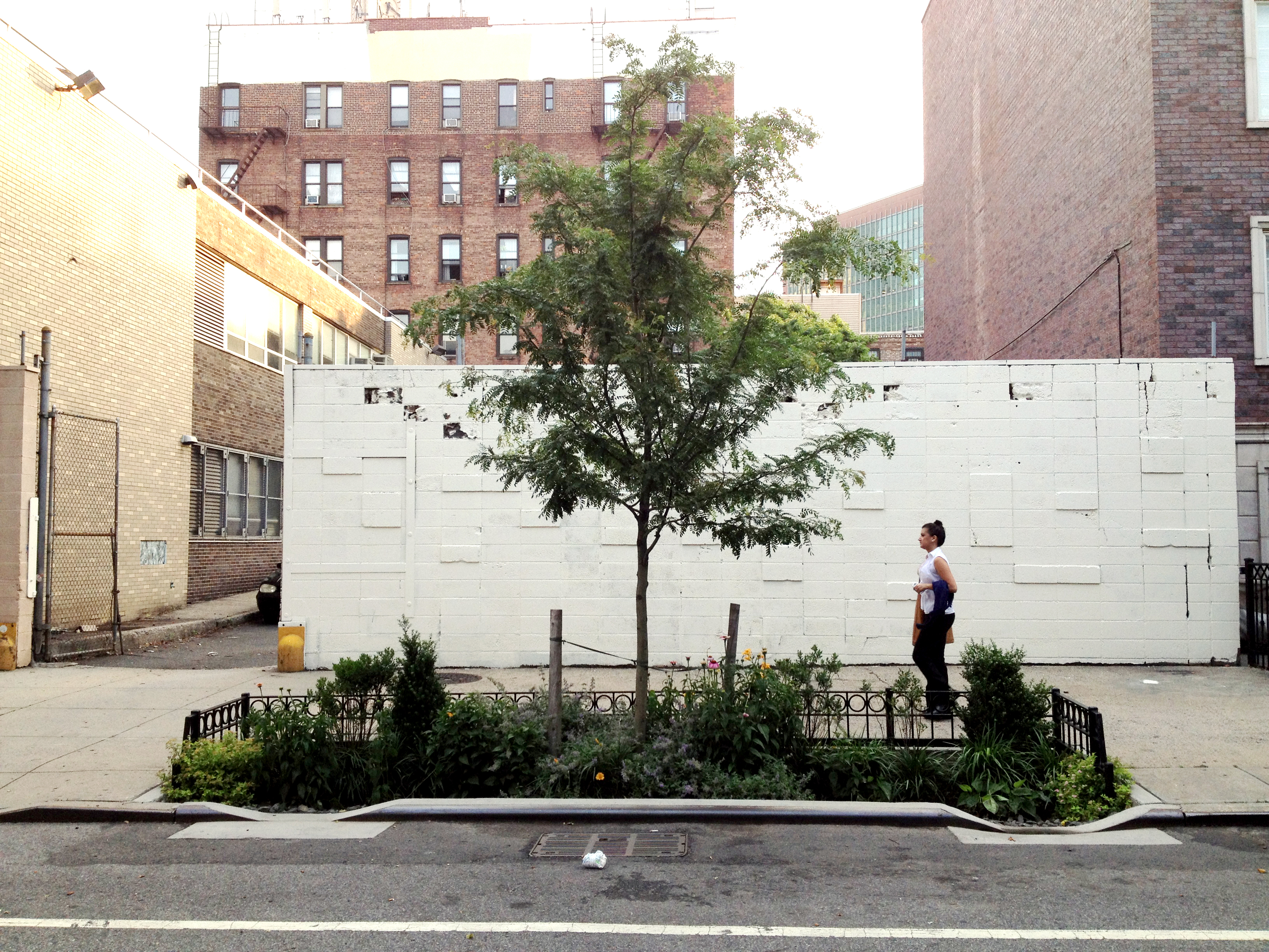A right of way bioswale in New York City