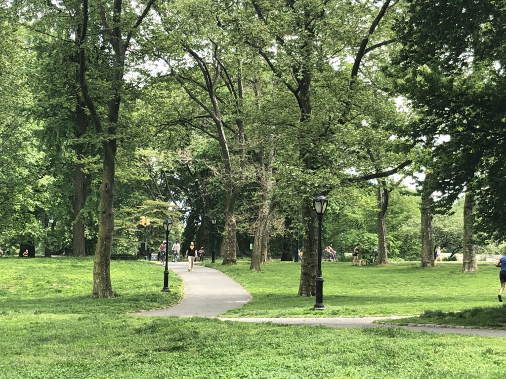 People enjoy green space in Central Park, New York City