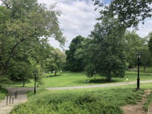 Green space in Central Park