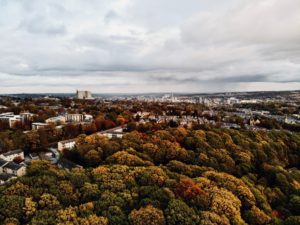 City next to a forest